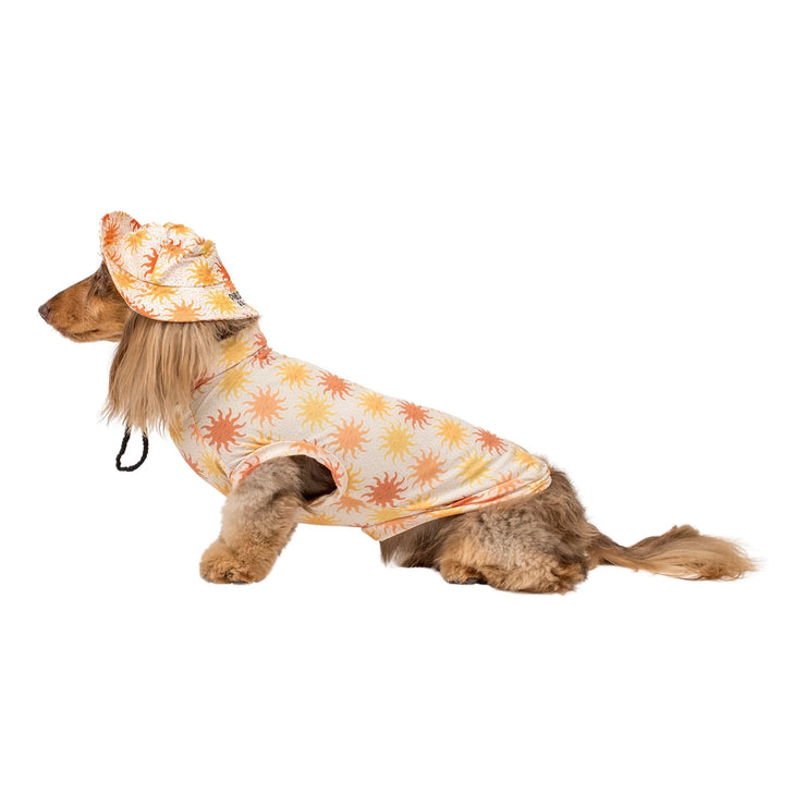 Ray of Sunshine: Dog Bucket Hat