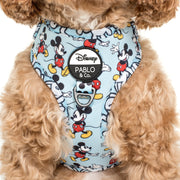 Mickey Mouse Adjustable Harness