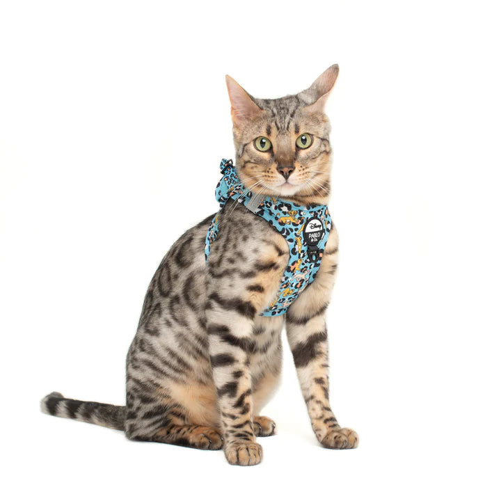 Lion King - Cat Harness + Leash Set