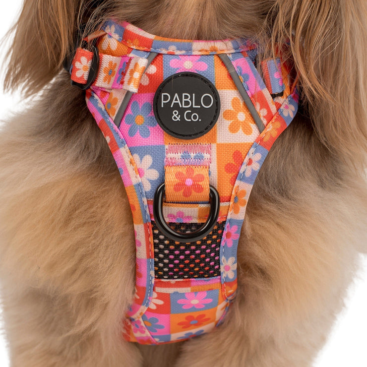 Daisies For Days No Pull Adventure Harness