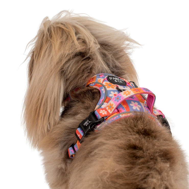 Daisies For Days No Pull Adventure Harness