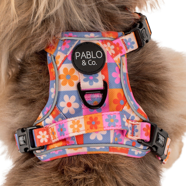 Daisies For Days No Pull Adventure Harness