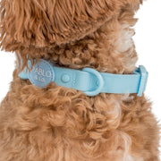 Sea Salt Blue Waterproof Collar