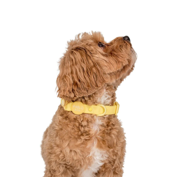 Lemonade Yellow Waterproof Collar