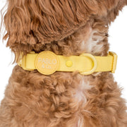 Lemonade Yellow Waterproof Collar