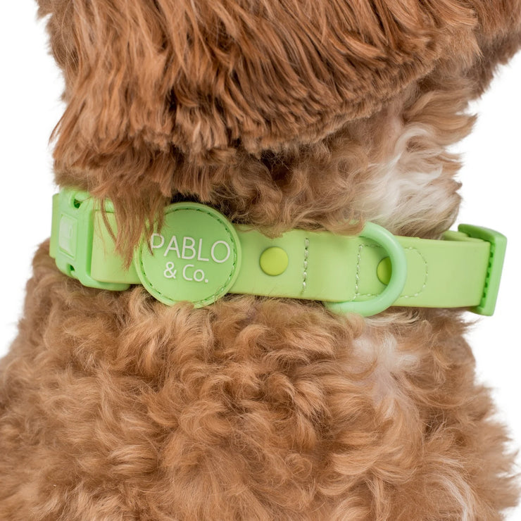 Lime Green Waterproof Collar