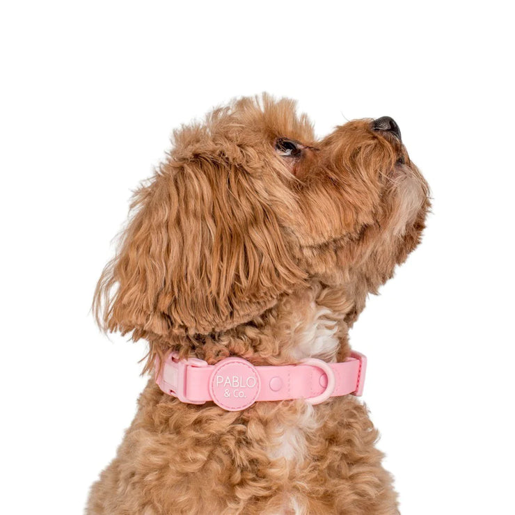 Bubblegum Pink Waterproof Collar