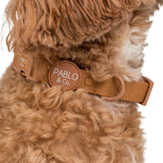 Fudge Brown Waterproof Collar