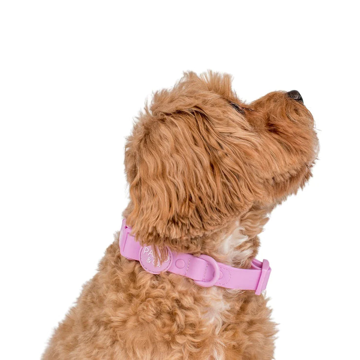 Lavender Purple Waterproof Collar