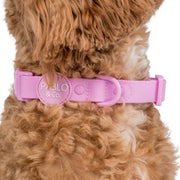 Lavender Purple Waterproof Collar