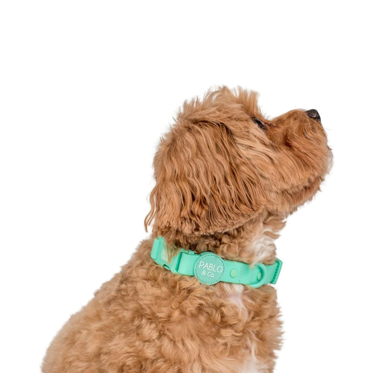Peppermint Green Waterproof Collar