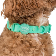 Peppermint Green Waterproof Collar