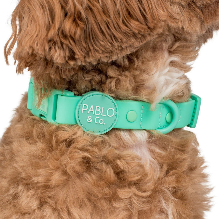 Peppermint Green Waterproof Collar