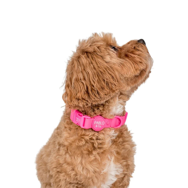 Dragonfruit Hot Pink Waterproof Collar