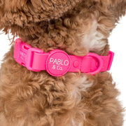 Dragonfruit Hot Pink Waterproof Collar