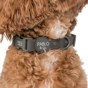 Charcoal Waterproof Collar