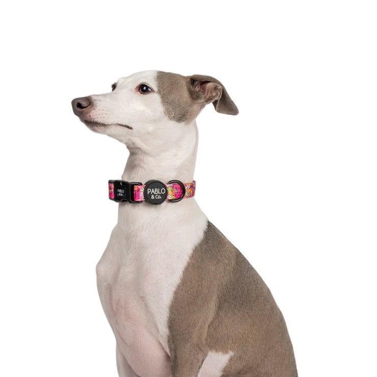 In Bloom Dog Collar