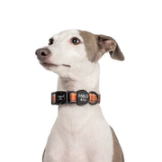 Vintage Plaid Dog Collar