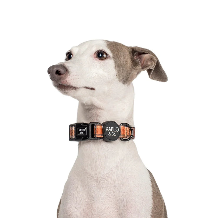 Vintage Plaid Dog Collar