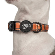 Vintage Plaid Dog Collar