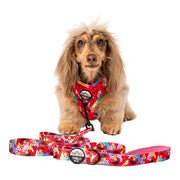 Sesame Street Elmo Dog Leash