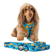 Cookie Monster Dog Leash