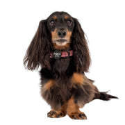 Camilla Dog Collar
