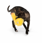 "Wilson" Durable Plush Toy for Rough Dogs - Yellow