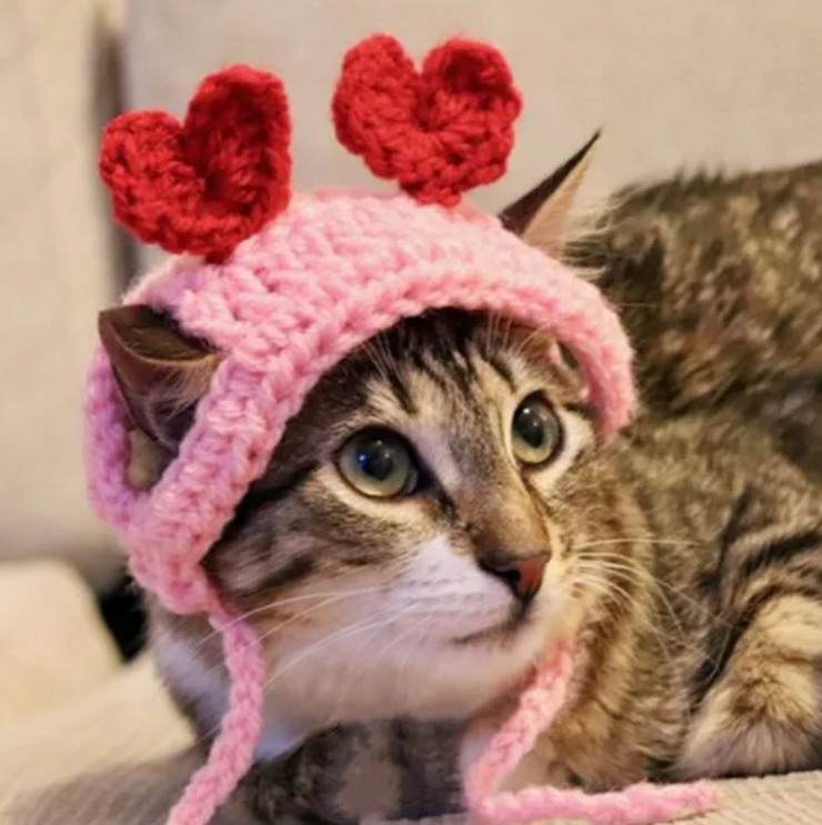 Be My Valentine Heart Knitted Cat Hat