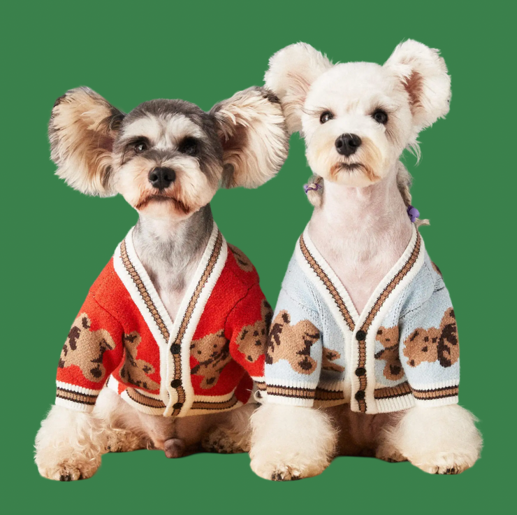 Trust Fund Teddy Cardigan Knitted Sweater Jumper
