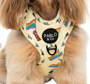 Love is Love Pride Adjustable Harness