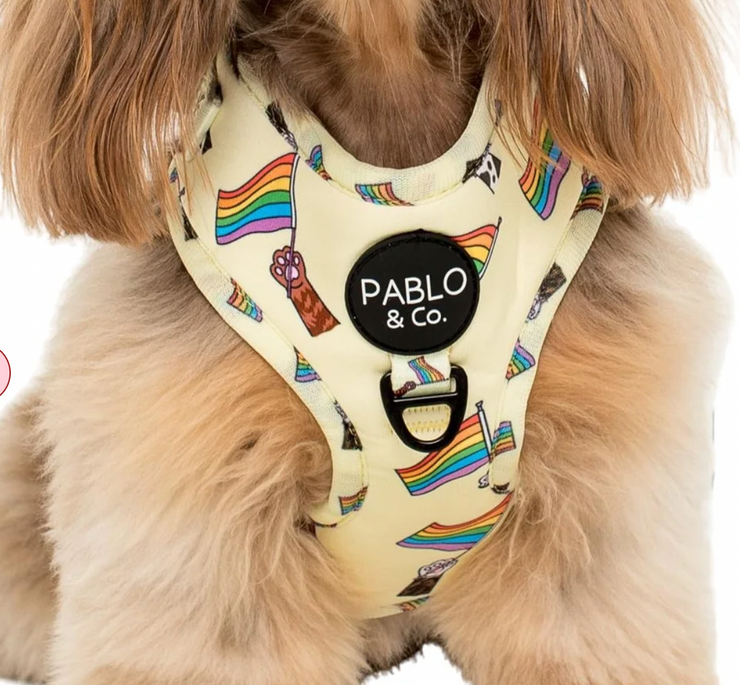 Love is Love Pride Adjustable Harness