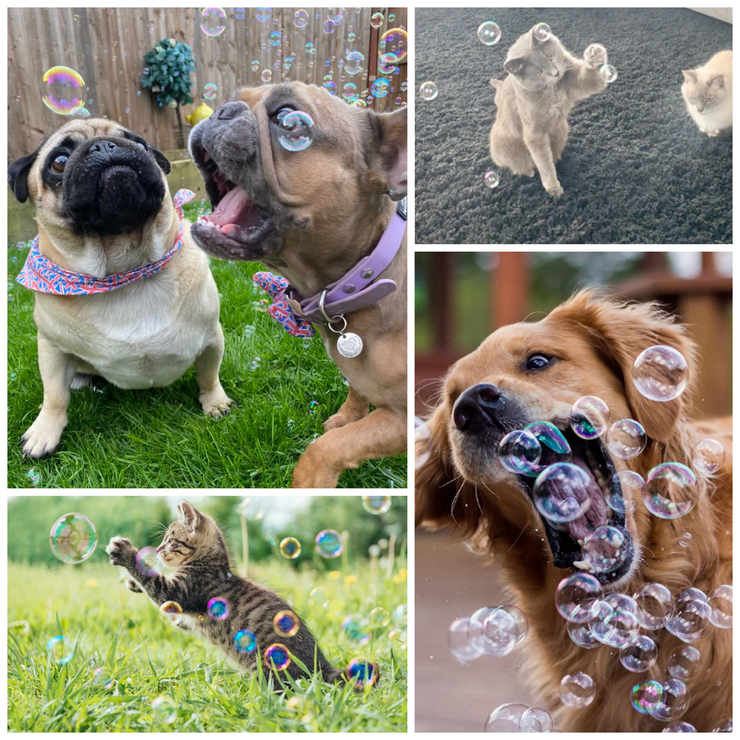 Puppuccino Flavoured Bubbles