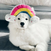 Rainbow Squeakie Pattiez Plush Dog Toys