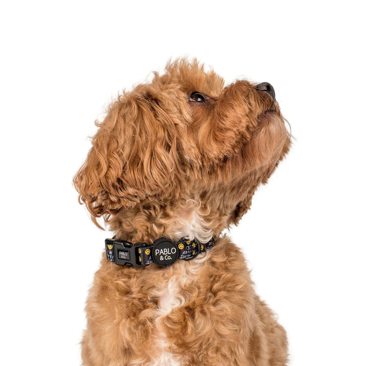 I'm Anti Social Dog Collar