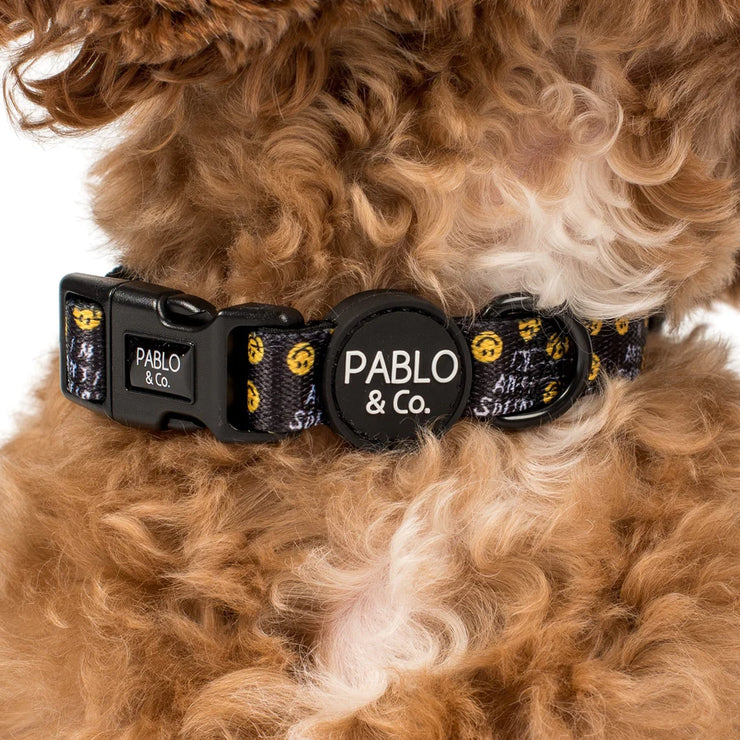 I'm Anti Social Dog Collar