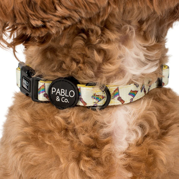 Love is Love Pride Dog Collar