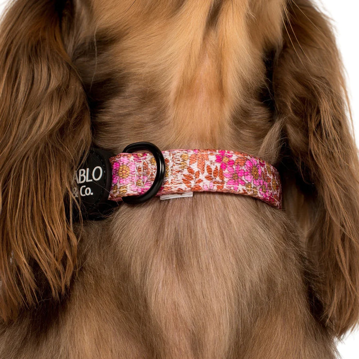 Pink Posies Dog Collar