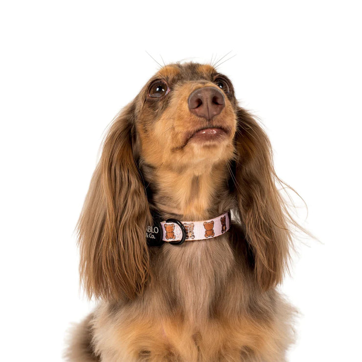 Teddy Bears Picnic Dog Collar
