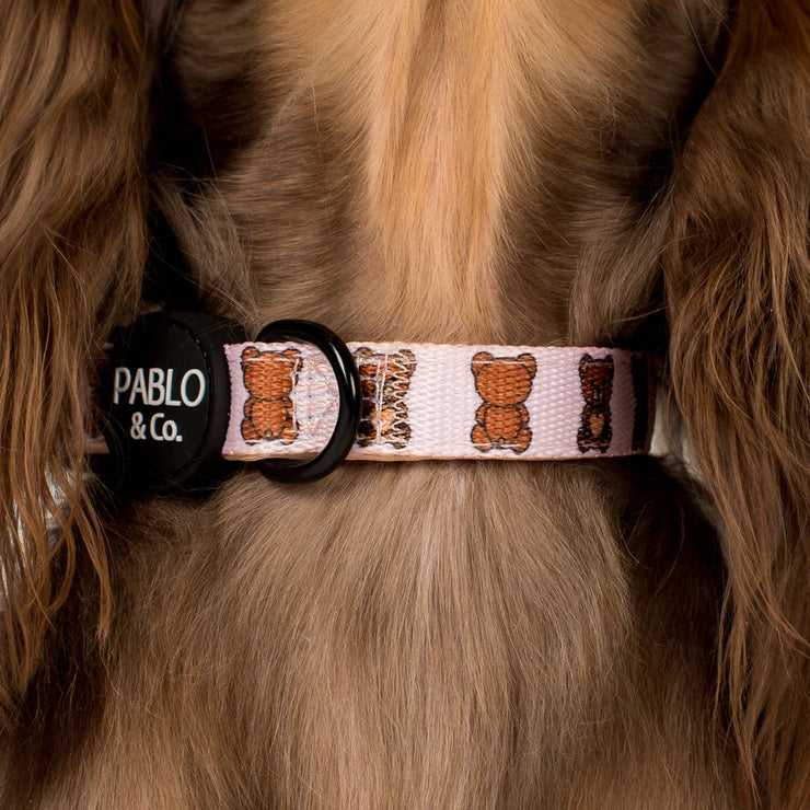 Teddy Bears Picnic Dog Collar