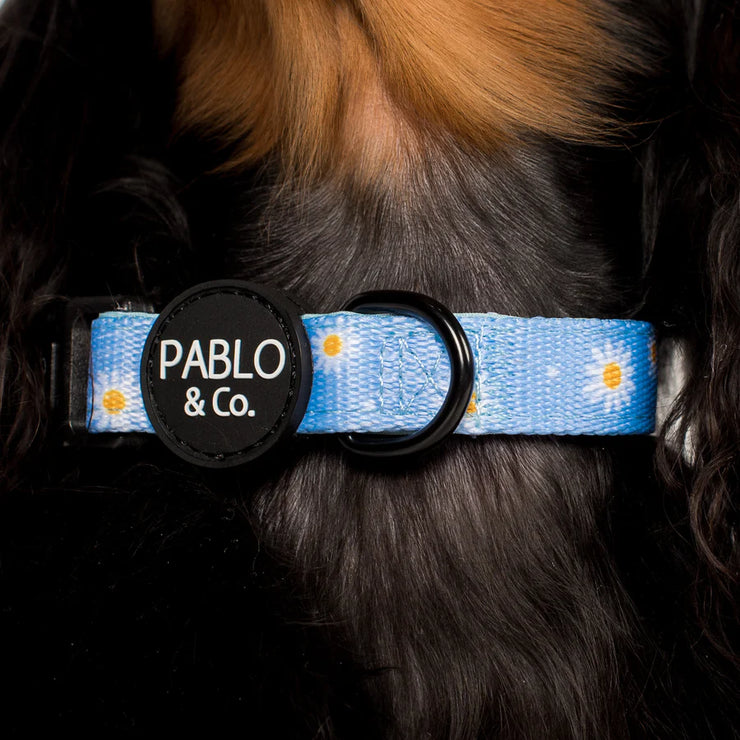 Blue Daisy Dog Collar