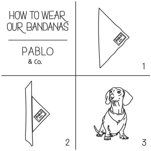 Hand Sanitiser Print Dog Bandana