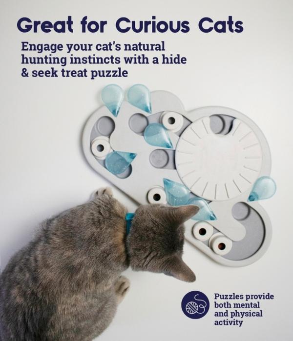 Cat Puzzle & Play Rainy Day - LEVEL 3