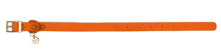 Orange Crush Waterproof Collar Pablo & Co