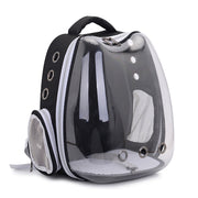 Panoramic Cat Carrier in Kitty Shape