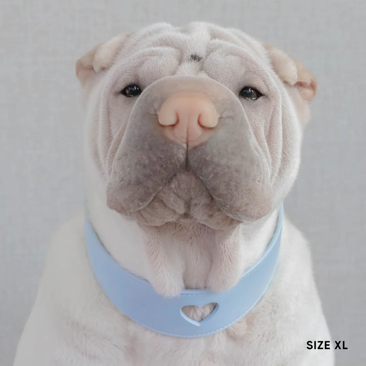 Sweetheart Dog Collar - Sky Blue