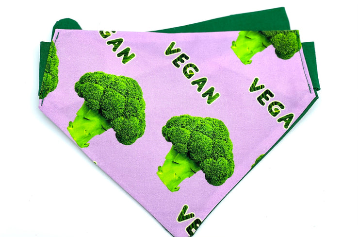 Vegan Broccoli Bandana