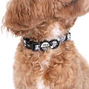 101 Dalmatians Dog Collar