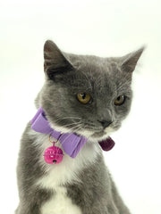 Bow Tie Faux Suede Collar (cats & dogs)