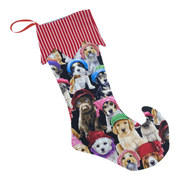 Dog Christmas Stocking - Elf Toe (Large)